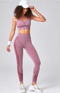 Women's Seamless Mesh Athletic Set